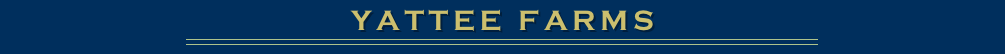 YATTEE FARMS
￼